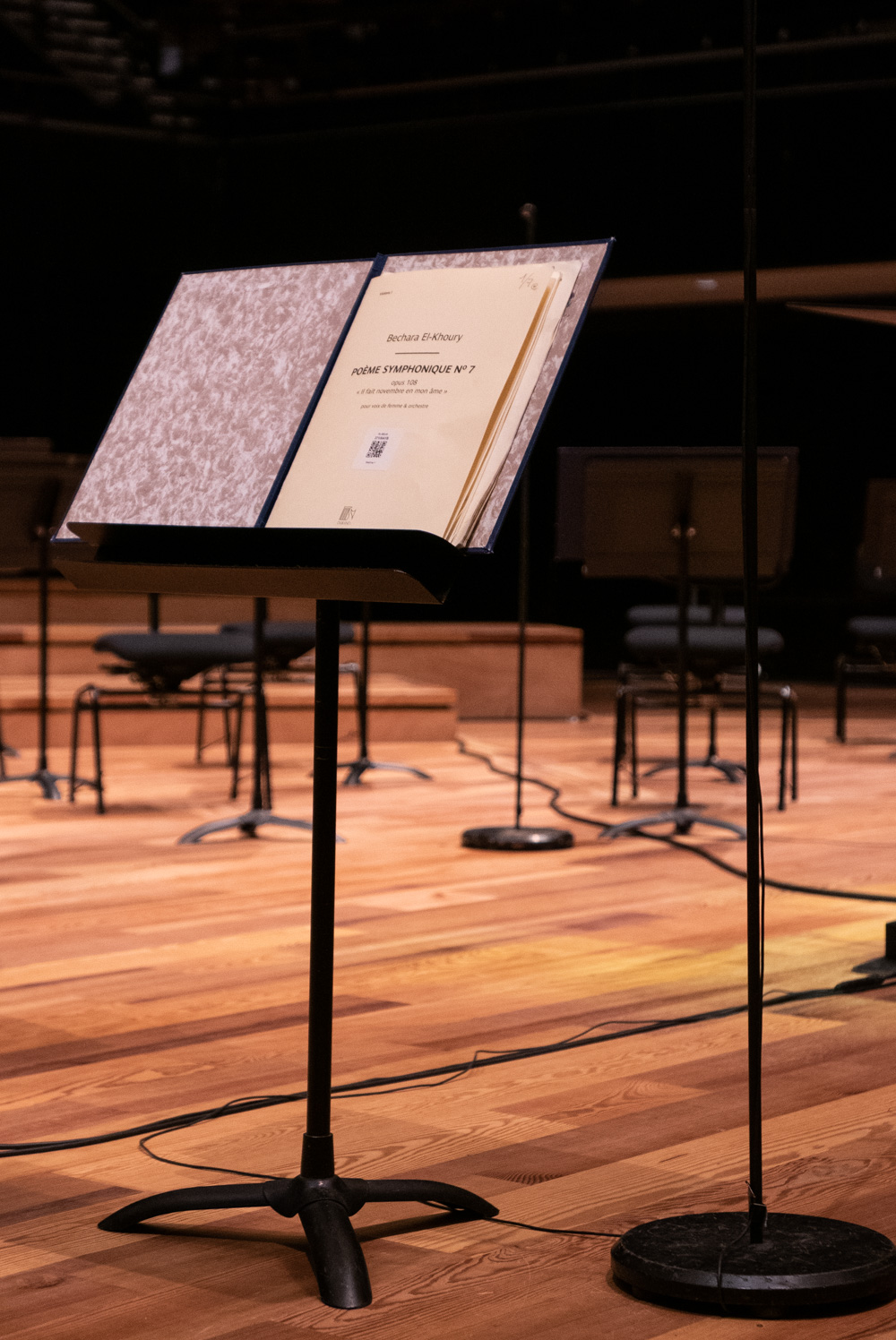  concert-novembre-en-mon-ame-julien-thomast