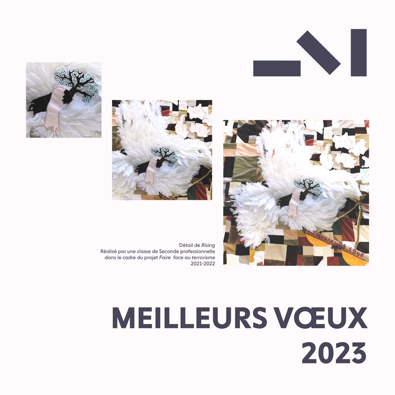 voeux-2023-fond-rose