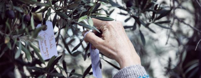 ceremonie-13-novembre-olivier-afp-noémie-coissac-hans-lucas