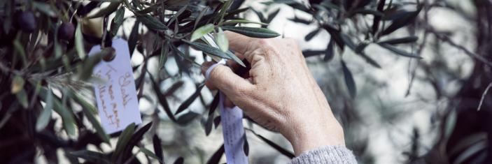 ceremonie-13-novembre-olivier-afp-noémie-coissac-hans-lucas