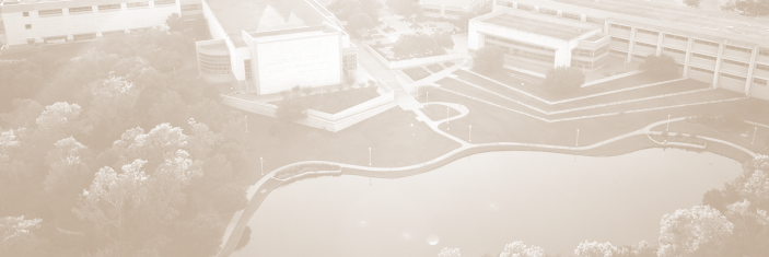 henry-rousso-bush-school-fond