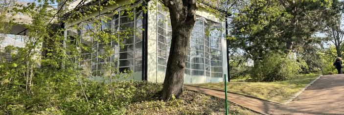 image d'un des pavillons de l'Ecole de plein air. La forme est celle d'un rectangle avec des fenêtres en verre.
